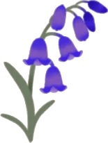 小さな青い花・右の画像