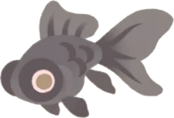 小さな黒出目金の幻影の画像