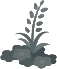 色褪せた草花の画像