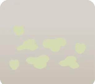 白の小花の画像