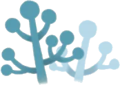 丸い先端の草の画像