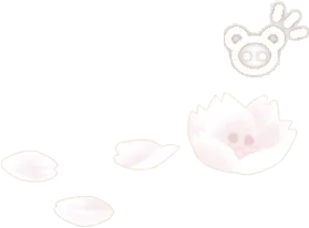 まどろみの白桜の画像