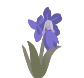 物言わぬ紫の花の画像