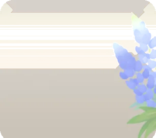 花咲くルピナスの画像
