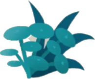 ウォーターコインと水草の画像