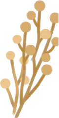 素朴な枯草の画像