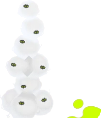 何かが棲むわたのオブジェの画像