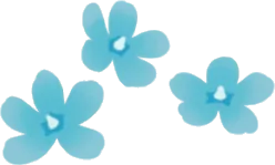 温室の青い花の画像