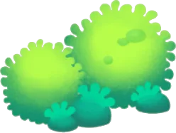 原生林の苔たちの画像