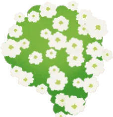 小さなアリッサムの画像