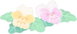 ミニパステルビオラの画像