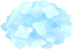 青色の紫陽花の画像