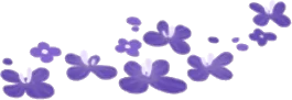 夢のナイトガーデンの紫の花・右の画像