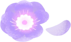 天を仰ぐオーロラの森のアネモネの画像