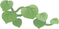 縁に這うつる草の画像