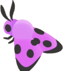ピンクのマダラガの画像