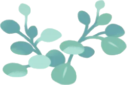 丸葉の温室の植物・緑の画像
