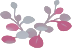 丸葉の温室の植物・赤の画像