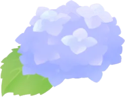 水色の紫陽花の画像