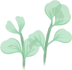 透明感のある水草の画像