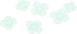 冬の白いお花の画像