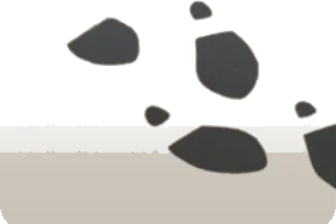 謎の足跡の画像