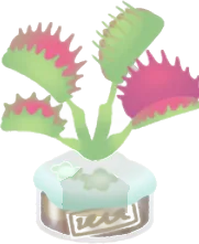 コハエバサミの画像