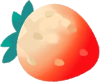 まだ未熟な先っちょだけ赤い苺の画像