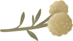 モチーフの花束の画像