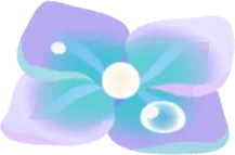 雨粒付きの紫陽花の装飾花の画像