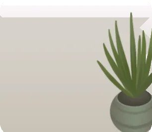 サンスベリアの鉢植えの画像