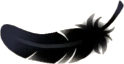 漆黒の羽根の画像