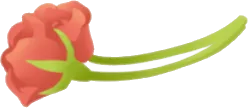 テーブル上のバラの花の画像