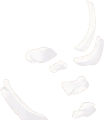 埋まった骨・奥の画像
