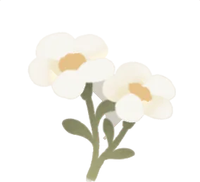 名もなき白い花・右の画像