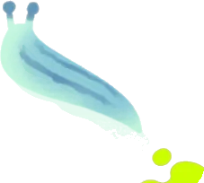 ナメクジ・青の画像