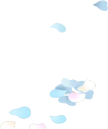 舞う紫陽花とバラの花びら・右の画像