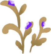 地底に芽吹く金色の草の画像