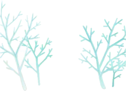 結晶化した木々の画像
