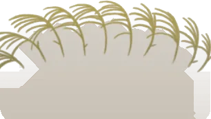 ススキの画像