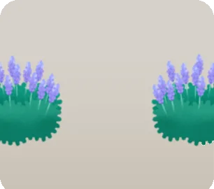 ラベンダーの茂みの画像