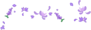 浮遊花びら・紫の画像