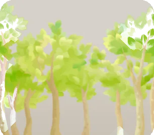 アウトドアの林の画像