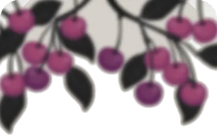 ぼやけたピンクチェリーの画像