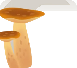 香り高いキノコの画像