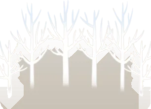 冬の木立の画像