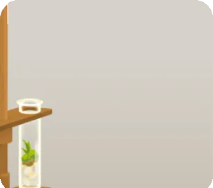 苔が育つ試験管スタンドの画像