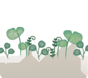 遺跡に差し込む光に透ける植物の画像