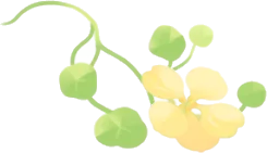 後ろから伸びている植物の画像