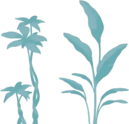 背の高い温室の植物の画像